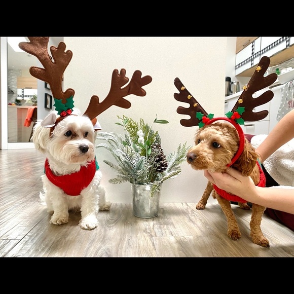 ✨⭐️HAPPY HOLIDAYS ⭐️✨ - Picture 2 of 2